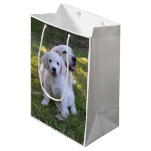 Bolsa De Regalo Mediana Mamá recuperadora de oro y cachorro