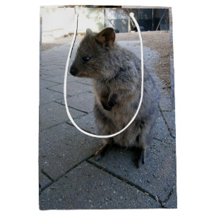 Bolsa De Regalo Mediana "Mimos en Australia: Un Quokka Gris Acurrucador"