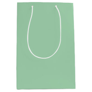 Bolsa De Regalo Mediana Mint Green sólido