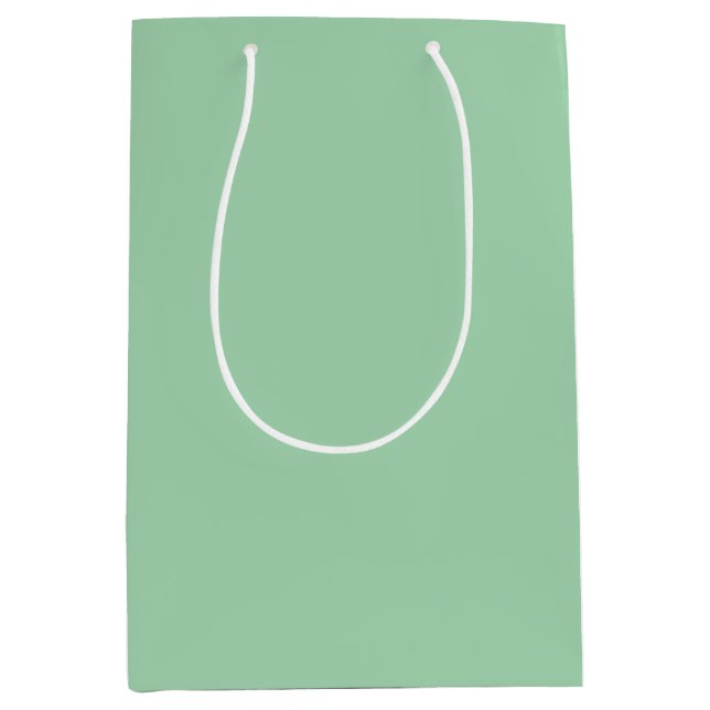 Bolsa De Regalo Mediana Mint Green sólido (Anverso)
