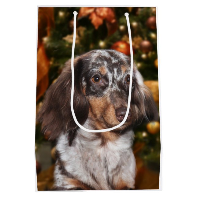 Bolsa De Regalo Mediana Navidad Dappled del Dachshund (Reverso)