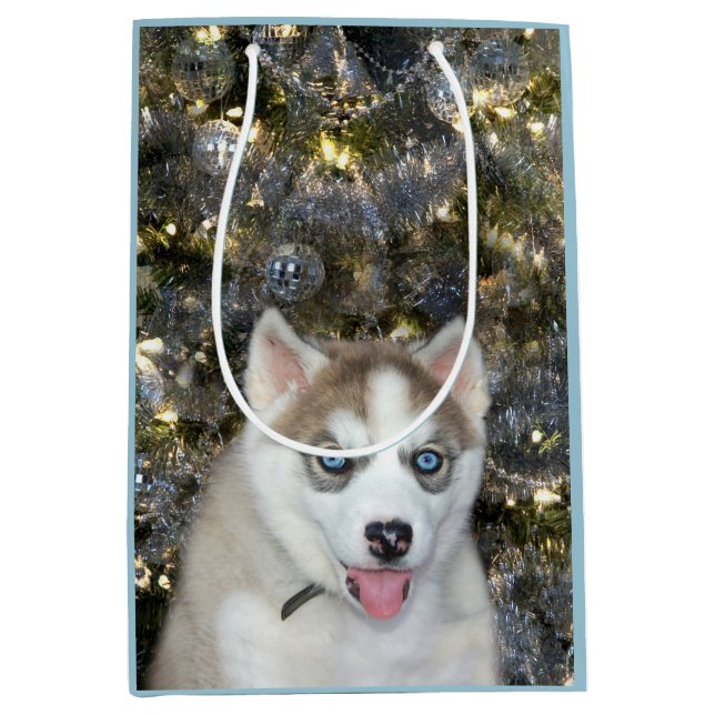 Bolsa De Regalo Mediana Navidades Husky Siberiano de ojos azules (Anverso)