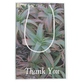 Bolsa De Regalo Mediana Nevada succulantes