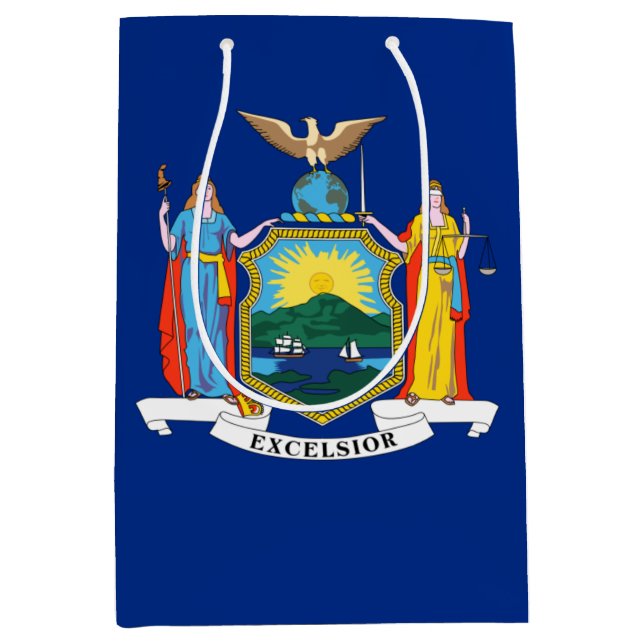 Bolsa De Regalo Mediana Nueva York: El Estado Imperio, casa de bandera gra (Anverso)