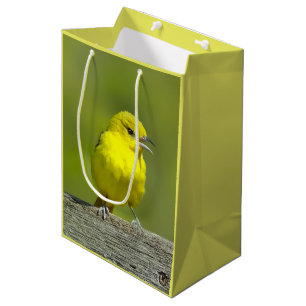 Bolsa De Regalo Mediana Orchard Oriole - Foto original