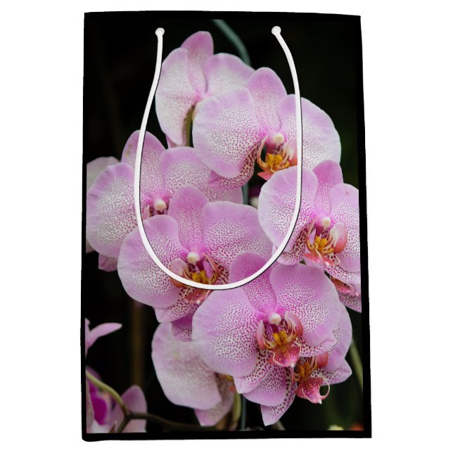 Bolsa De Regalo Mediana Orquídeas rosas (Anverso)