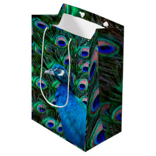 Bolsa De Regalo Mediana Pavo real y pluma