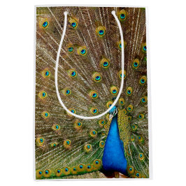 Bolsa De Regalo Mediana Peacock Tail Feathers