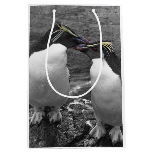 Bolsa De Regalo Mediana Penguin Colour Splash (Anverso)