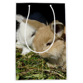 Bolsa De Regalo Mediana Pequeños conejitos esponjosos