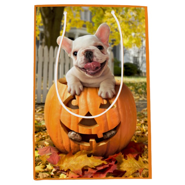 Bolsa De Regalo Mediana Perro en Jack-o-Lantern (Anverso)
