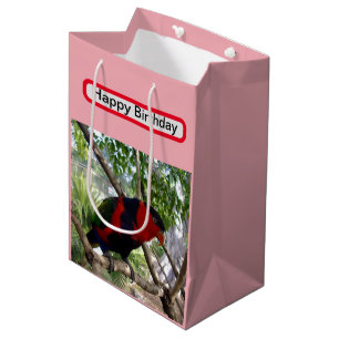Bolsa De Regalo Mediana Plumas arcoiris: Bonito Australian Lorikeet,