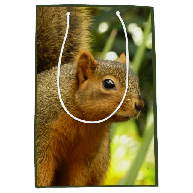 Bolsa De Regalo Mediana Portrait of a Squirrel Nature Animal Photography (Anverso)