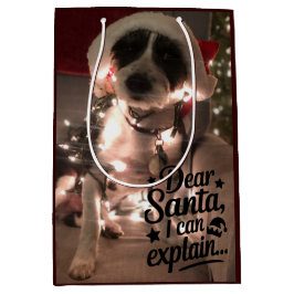 Bolsa De Regalo Mediana Querido Santa, puedo explicarlo (perro)