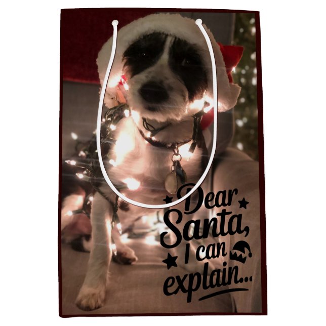 Bolsa De Regalo Mediana Querido Santa, puedo explicarlo (perro) (Anverso)