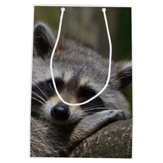 Bolsa De Regalo Mediana Raccoon (Reverso)