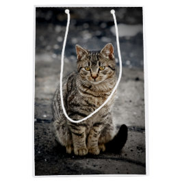 Bolsa De Regalo Mediana Retrato de un gato