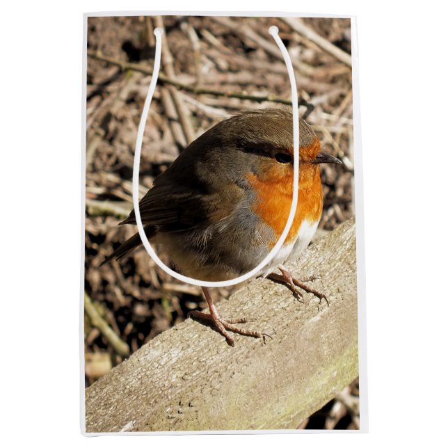 BOLSA DE REGALO MEDIANA ROBIN (Anverso)