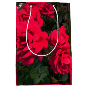 Bolsa De Regalo Mediana Rosario Roses Rojos