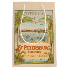 Bolsa De Regalo Mediana San Petersburgo Florida La cosecha de la Ciudad de