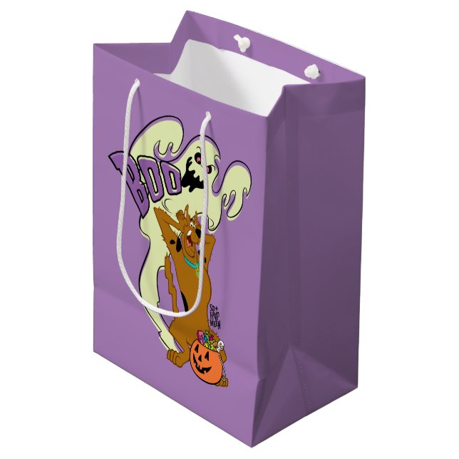 Bolsa De Regalo Mediana Scooby-Doo | Scooby-Doo Boo (Angulo Anverso)