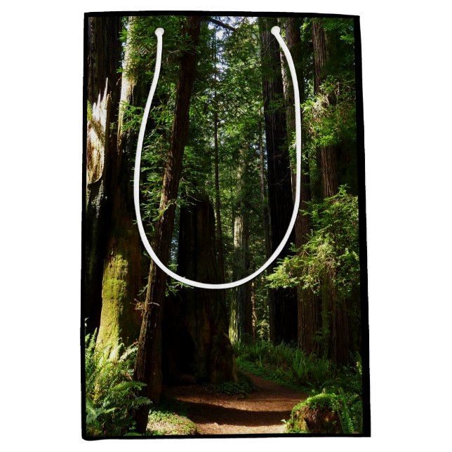 Bolsa De Regalo Mediana Secuoyas y ferris en el Parque Nacional Redwood (Anverso)