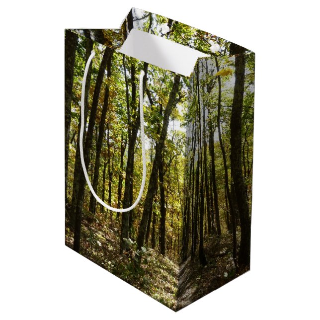 Bolsa De Regalo Mediana Sendero Apalache en octubre en Shenandoah (Angulo reverso)