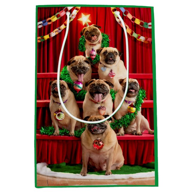 Bolsa De Regalo Mediana Siete pugs-a-Posing (Anverso)