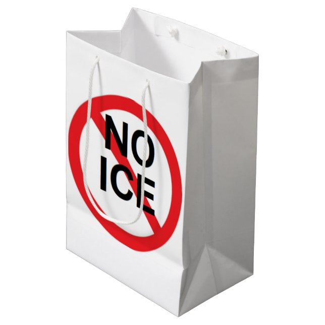 BOLSA DE REGALO MEDIANA SIN HIELO (Angulo Anverso)