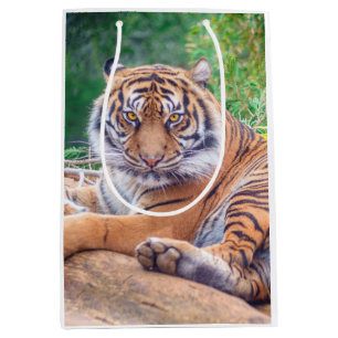 Bolsa De Regalo Mediana Sorprendente rebote de la fotografía del tigre