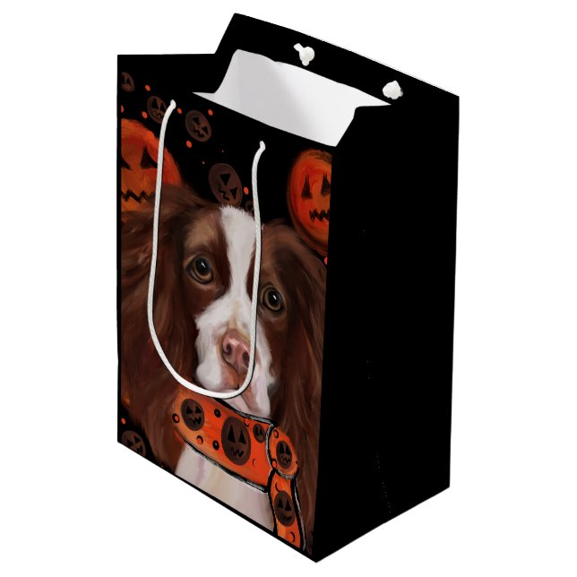 Bolsa De Regalo Mediana Springer Spaniel Inglés        (Angulo Anverso)