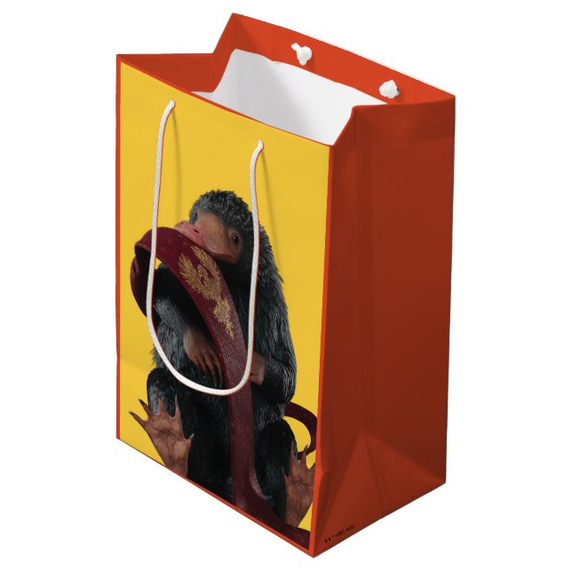 Bolsa De Regalo Mediana Teddy With Tie Graphic (Angulo Anverso)