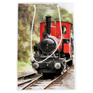 BOLSA DE REGALO MEDIANA TRENES DE VAPOR