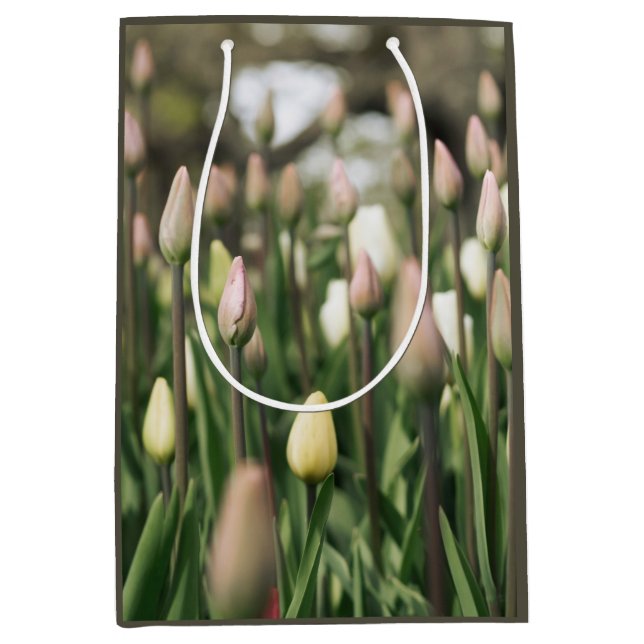 Bolsa De Regalo Mediana Tulipanes que comienzan a florecer (Anverso)