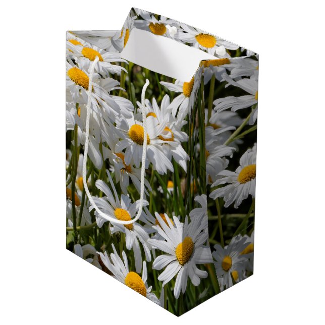 Bolsa De Regalo Mediana Un campo de Oxeye Daisies (Angulo Anverso)