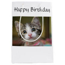 Un lindo gatito con ojos verdes