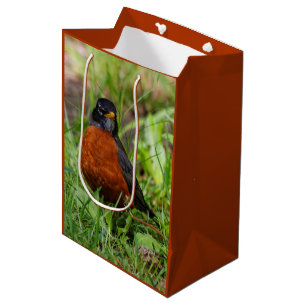 Bolsa De Regalo Mediana Un Robin estadounidense curioso y esperanzador