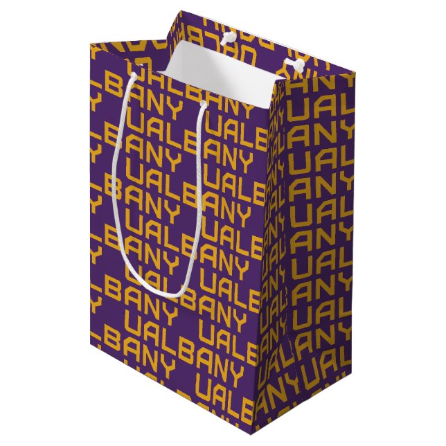 Bolsa De Regalo Mediana Universidad de Albany Wordmark 2 (Angulo Anverso)