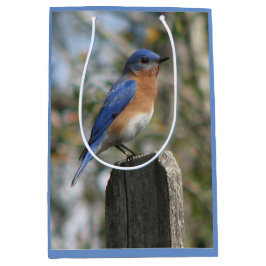 Bolsa De Regalo Mediana Varón brillante del Bluebird