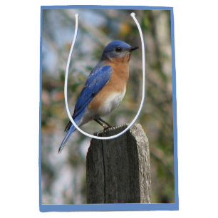 Bolsa De Regalo Mediana Varón brillante del Bluebird