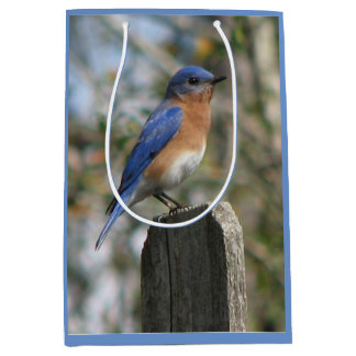 Bolsa De Regalo Mediana Varón brillante del Bluebird