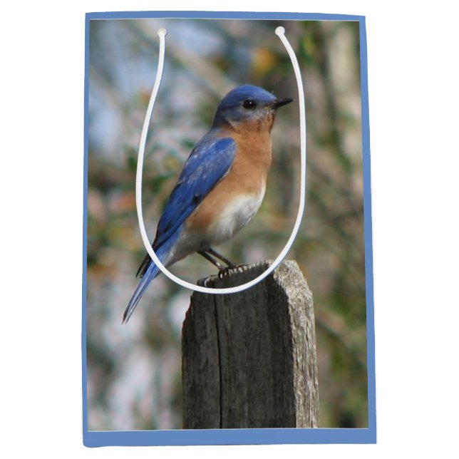 Bolsa De Regalo Mediana Varón brillante del Bluebird (Anverso)