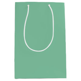 Bolsa De Regalo Mediana Vintage Seafoam Solid Color