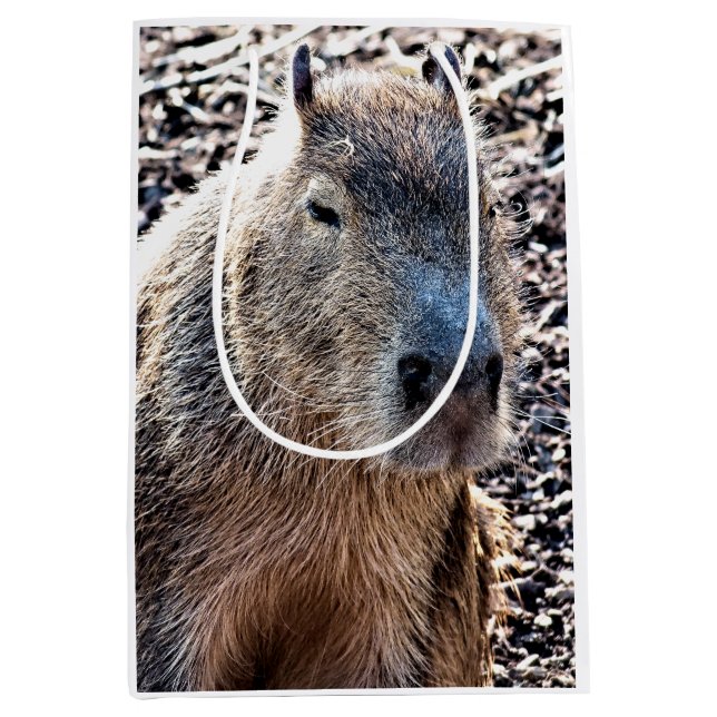 BOLSA DE REGALO MEDIANA WILD ANIMAL CAPYBARA (Anverso)