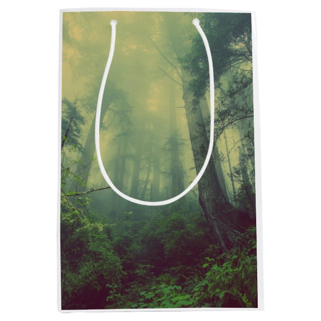 Bolsa De Regalo Mediana Woodland desde abajo (Anverso)