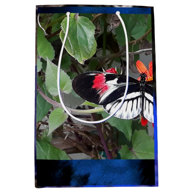 Bolsa De Regalo Mediana Zebra tail butterfly (Anverso)