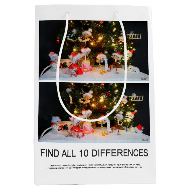 Bolsa De Regalo Mediana Zoek de 10 verschillen zoekplaatje van de Fubby's. (Anverso)