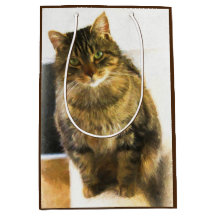 Bolsa de regalo para gato