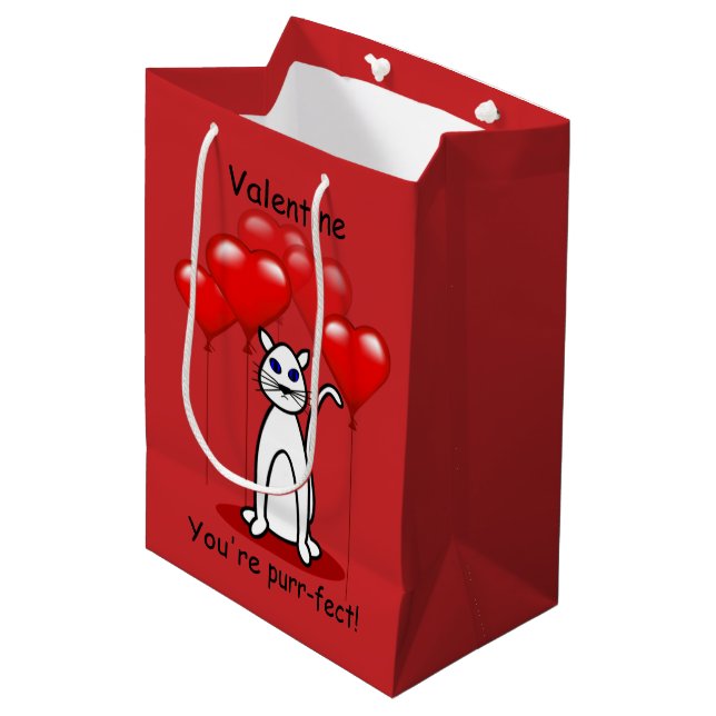 Bolsa de regalo para gatos San Valentín (Angulo Anverso)