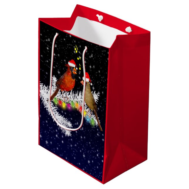 Bolsa de regalo para los Navidades cardinales (Angulo Anverso)